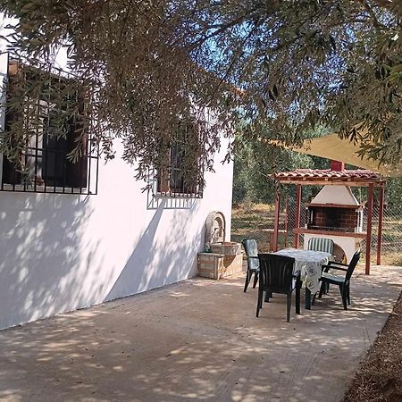The Small House In The Olive Grove 레포카스트론 외부 사진
