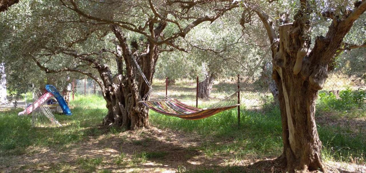 The Small House In The Olive Grove 레포카스트론 외부 사진