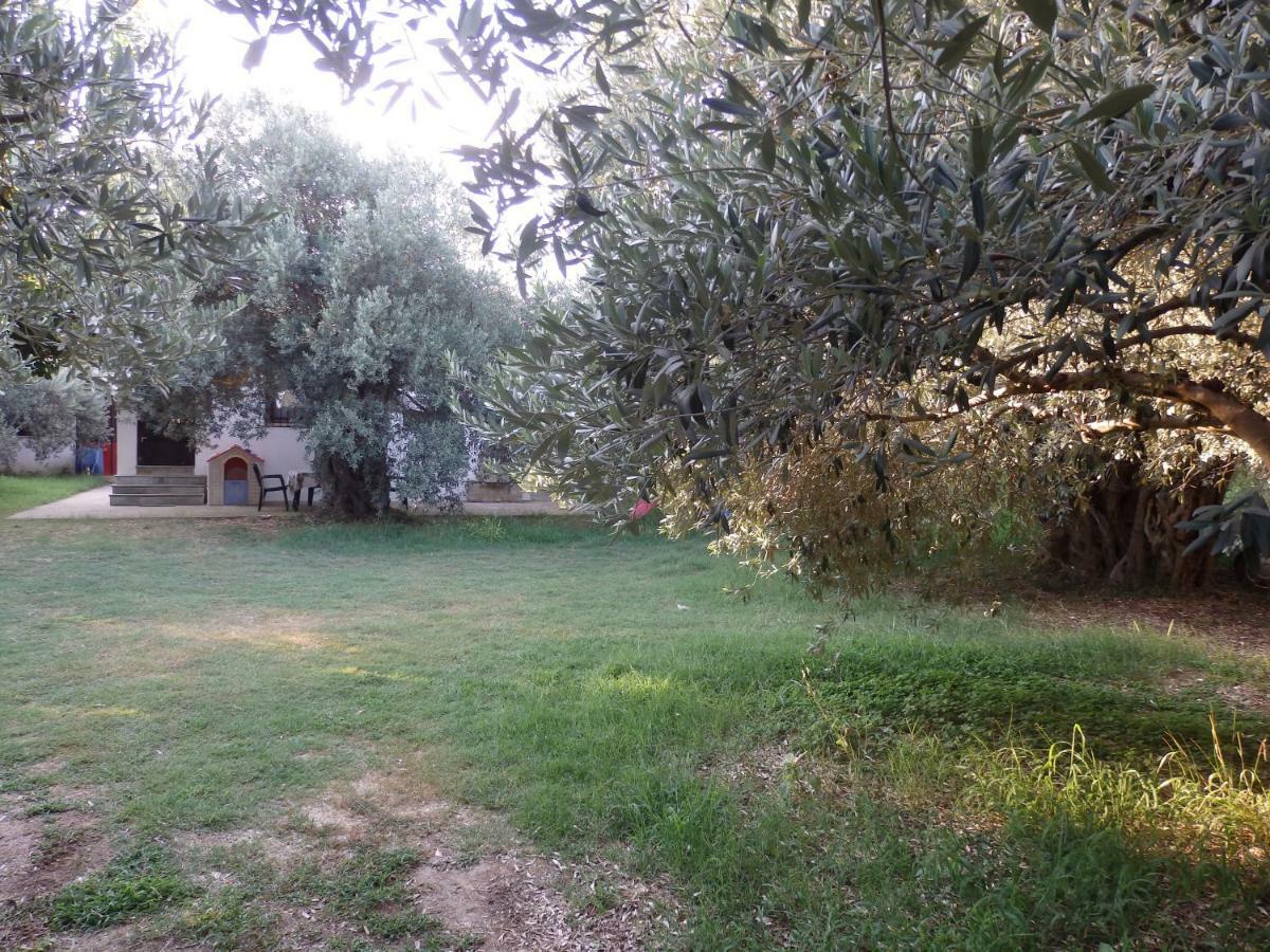 The Small House In The Olive Grove 레포카스트론 외부 사진
