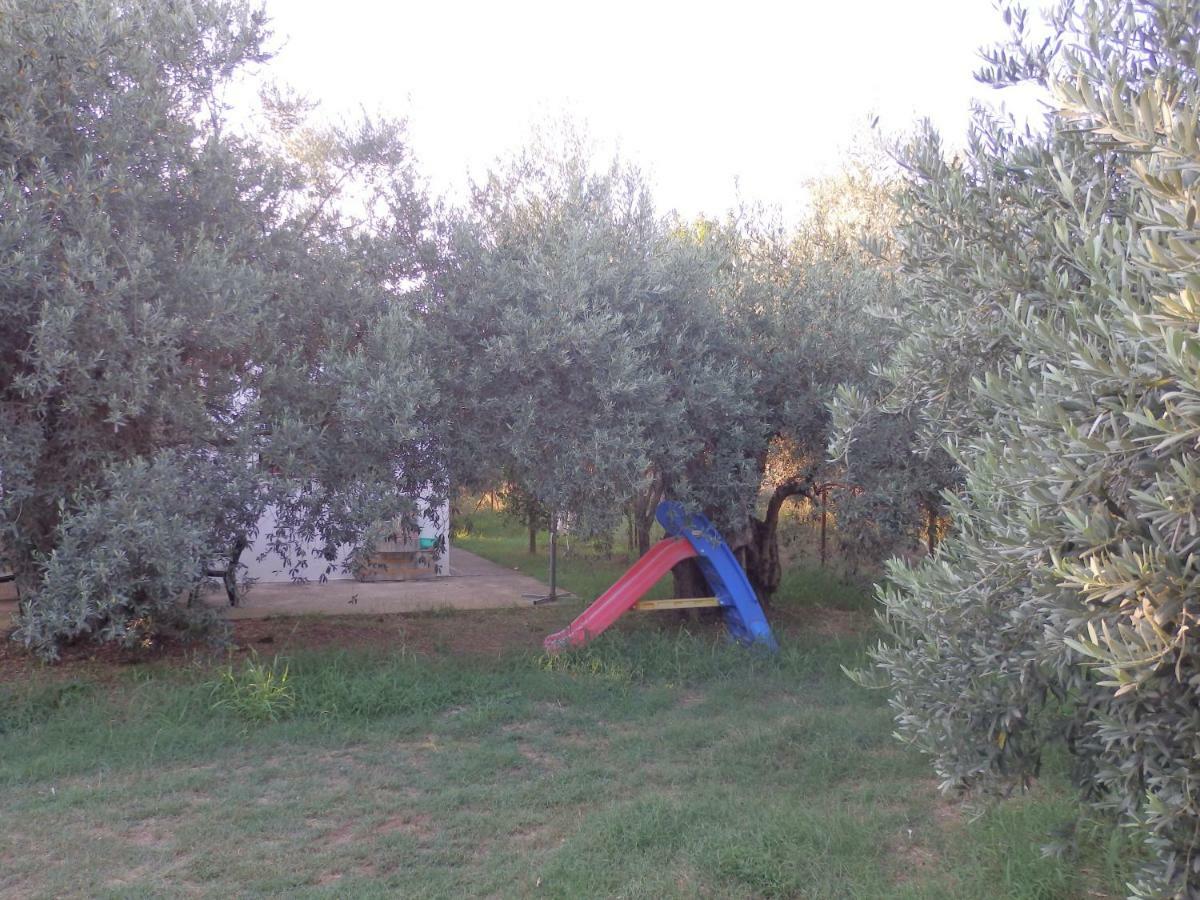 The Small House In The Olive Grove 레포카스트론 외부 사진