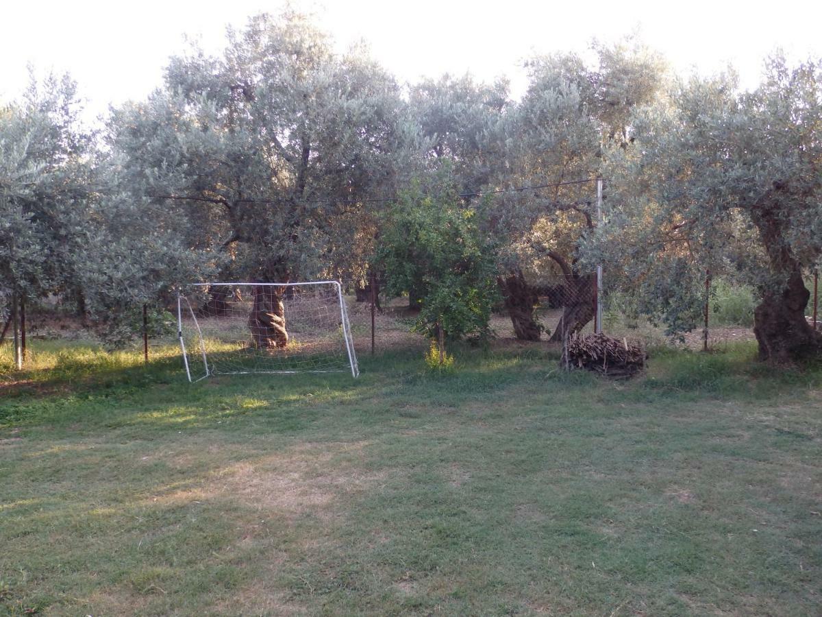 The Small House In The Olive Grove 레포카스트론 외부 사진