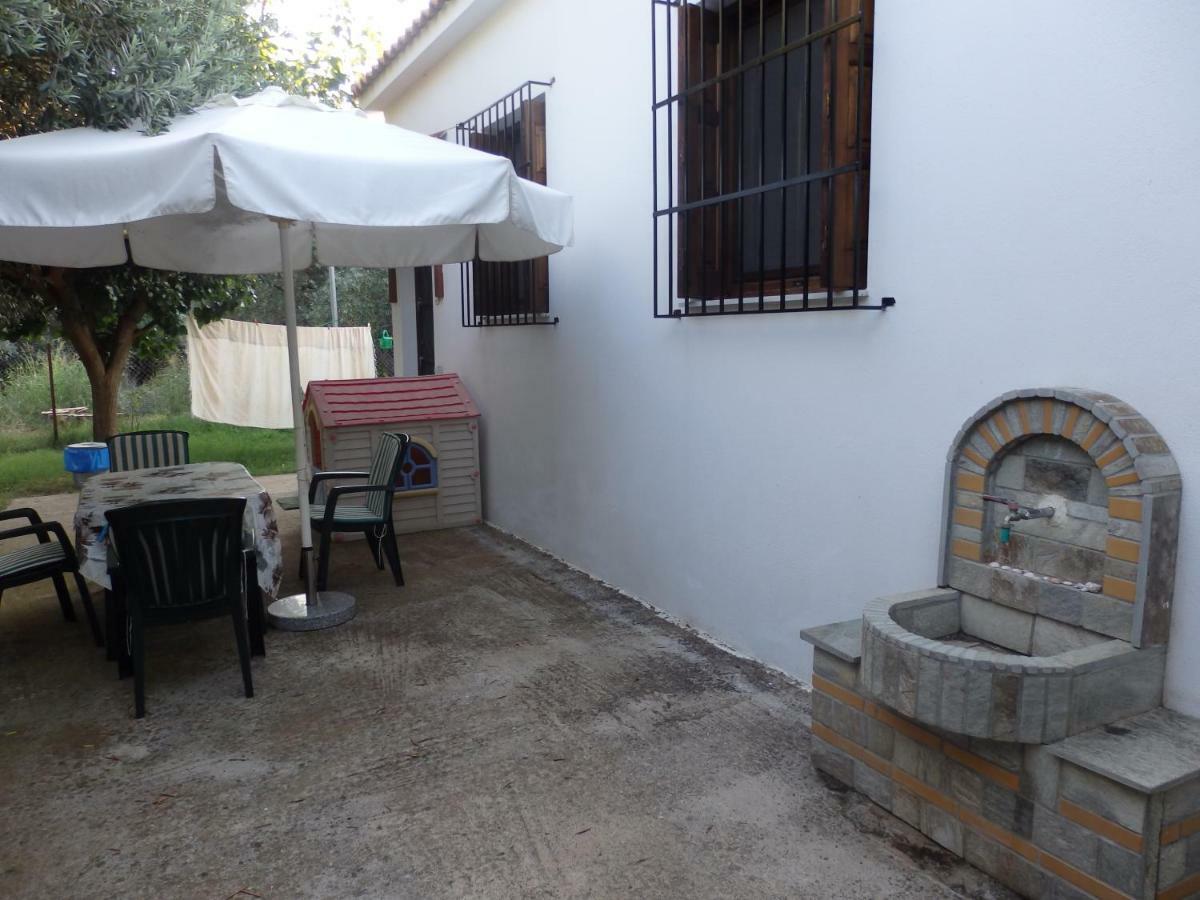 The Small House In The Olive Grove 레포카스트론 외부 사진