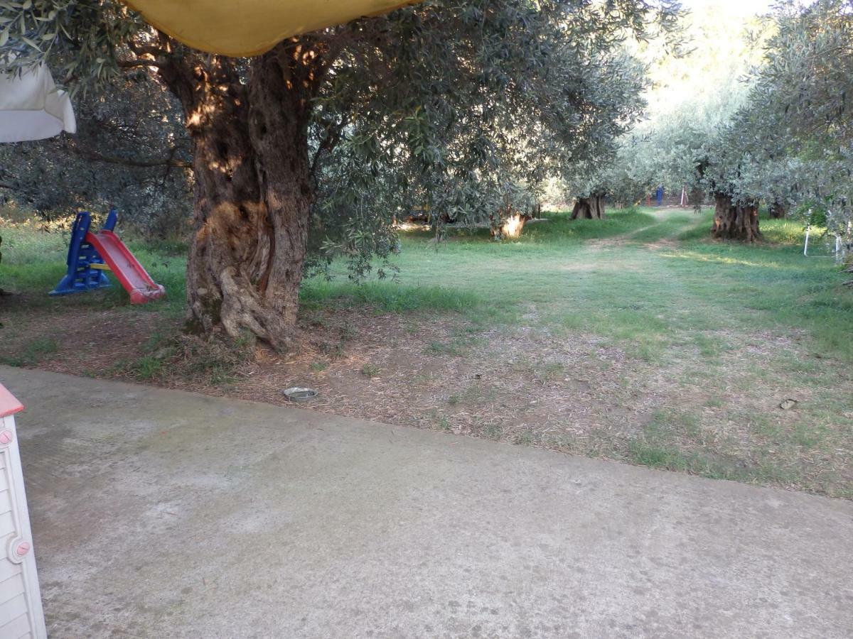 The Small House In The Olive Grove 레포카스트론 외부 사진